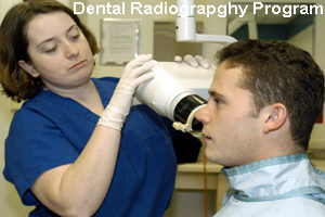 Dental Radiography Program - Registration Cost