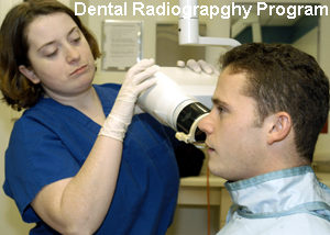 Dental Radiography Program